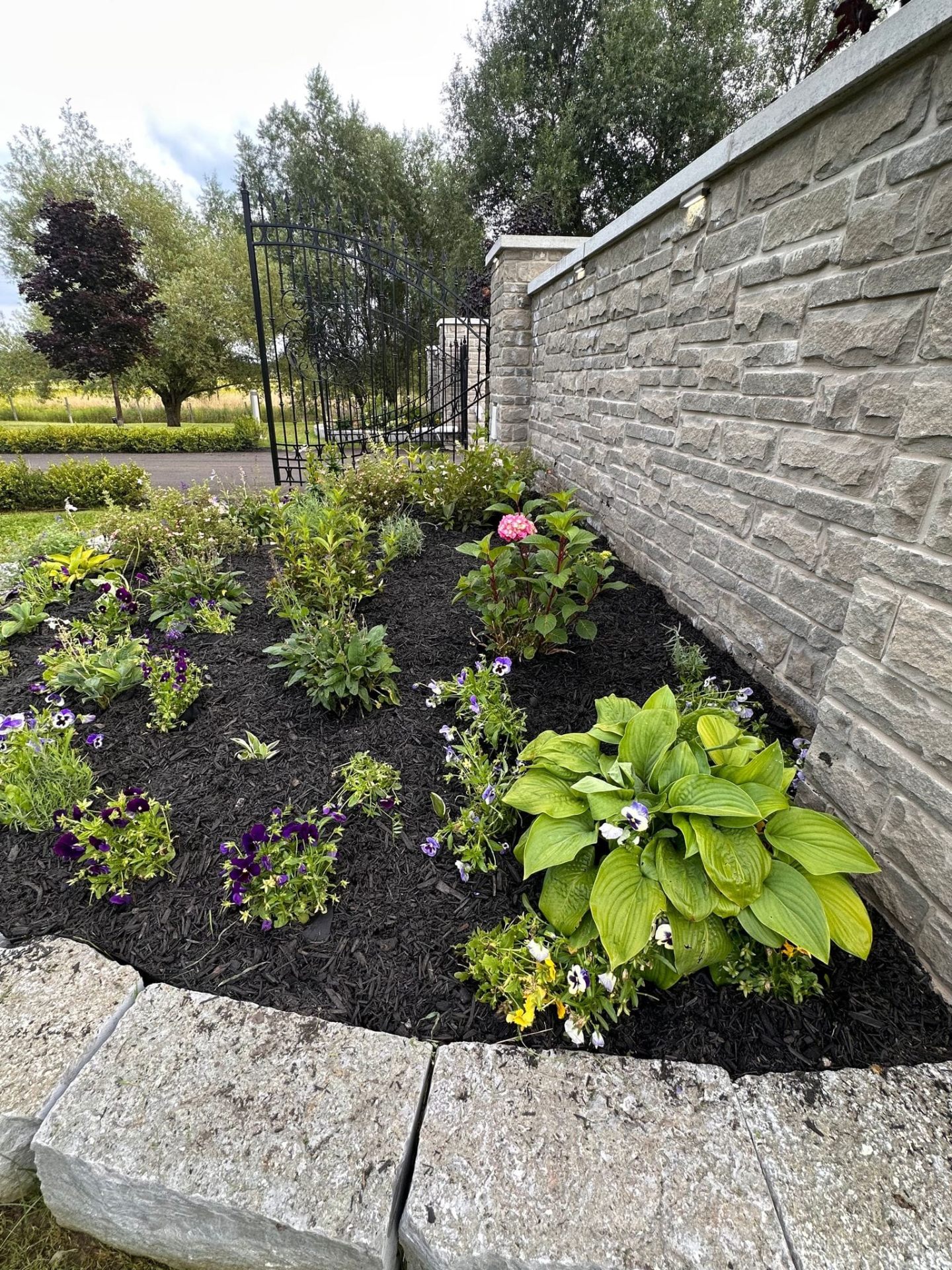 Planted garden bed with hostas and annuals against a stone wall